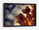 Flor de bokeh dorada - Dimitar Lazarov - | Cuadro decorativo de Canvas Lab
