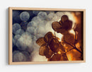 Flor de bokeh dorada - Dimitar Lazarov - | Cuadro decorativo de Canvas Lab
