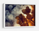 Flor de bokeh dorada - Dimitar Lazarov - | Cuadro decorativo de Canvas Lab