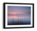 Juncos del lago del crepúsculo rosado - Keller | Cuadro decorativo de Canvas Lab