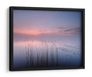 Juncos del lago del crepúsculo rosado - Keller | Cuadro decorativo de Canvas Lab