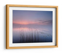 Juncos del lago del crepúsculo rosado - Keller | Cuadro decorativo de Canvas Lab