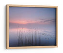 Juncos del lago del crepúsculo rosado - Keller | Cuadro decorativo de Canvas Lab