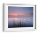 Juncos del lago del crepúsculo rosado - Keller | Cuadro decorativo de Canvas Lab