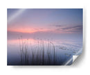 Juncos del lago del crepúsculo rosado - Keller | Cuadro decorativo de Canvas Lab