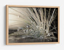 Múltiples gotas de rocío de diente de león - Maryam Zahirimehr | Cuadro decorativo de Canvas Lab