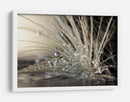 Múltiples gotas de rocío de diente de león - Maryam Zahirimehr | Cuadro decorativo de Canvas Lab