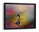 Gotas de diente de león arcoíris - Heidi Westum | Cuadro decorativo de Canvas Lab