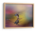 Gotas de diente de león arcoíris - Heidi Westum | Cuadro decorativo de Canvas Lab