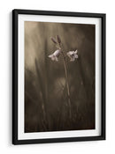 Delicadas flores de pradera - Allan Wallberg | Cuadro decorativo de Canvas Lab