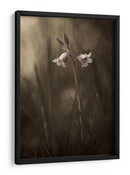 Delicadas flores de pradera - Allan Wallberg | Cuadro decorativo de Canvas Lab