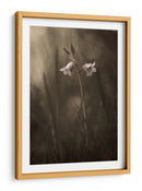Delicadas flores de pradera - Allan Wallberg | Cuadro decorativo de Canvas Lab