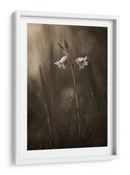 Delicadas flores de pradera - Allan Wallberg | Cuadro decorativo de Canvas Lab