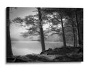 Pinos brumosos a orillas del lago - Dorit Fuhg | Cuadro decorativo de Canvas Lab