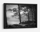 Pinos brumosos a orillas del lago - Dorit Fuhg | Cuadro decorativo de Canvas Lab