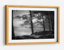 Pinos brumosos a orillas del lago - Dorit Fuhg | Cuadro decorativo de Canvas Lab
