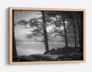 Pinos brumosos a orillas del lago - Dorit Fuhg | Cuadro decorativo de Canvas Lab