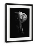 La majestuosidad del elefante oscuro - WildPhotoArt | Cuadro decorativo de Canvas Lab