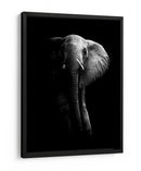 La majestuosidad del elefante oscuro - WildPhotoArt | Cuadro decorativo de Canvas Lab