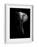 La majestuosidad del elefante oscuro - WildPhotoArt | Cuadro decorativo de Canvas Lab