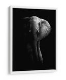 La majestuosidad del elefante oscuro - WildPhotoArt | Cuadro decorativo de Canvas Lab