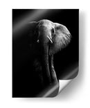 La majestuosidad del elefante oscuro - WildPhotoArt | Cuadro decorativo de Canvas Lab