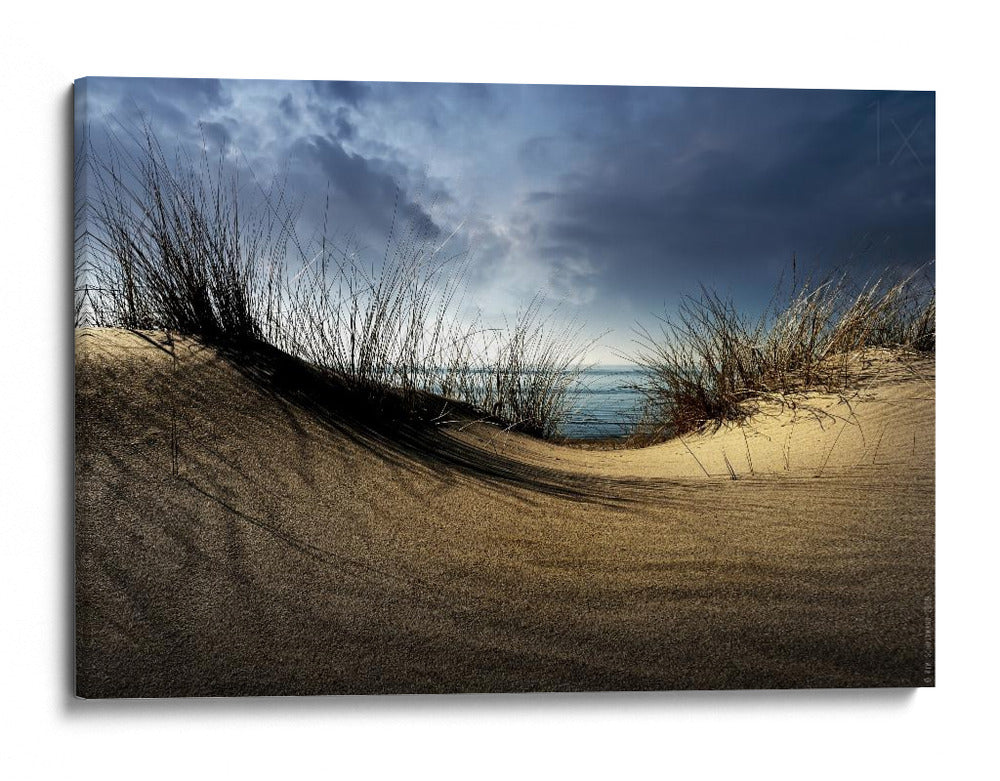 Vista al océano desde las dunas de arena - Wim Schuurmans | Cuadro decorativo de Canvas Lab