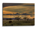 Atardecer con elefante africano - Amnon Eichelberg | Cuadro decorativo de Canvas Lab