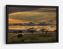 Atardecer con elefante africano - Amnon Eichelberg | Cuadro decorativo de Canvas Lab
