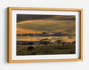 Atardecer con elefante africano - Amnon Eichelberg | Cuadro decorativo de Canvas Lab