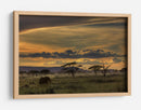 Atardecer con elefante africano - Amnon Eichelberg | Cuadro decorativo de Canvas Lab