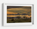 Atardecer con elefante africano - Amnon Eichelberg | Cuadro decorativo de Canvas Lab