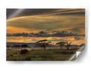 Atardecer con elefante africano - Amnon Eichelberg | Cuadro decorativo de Canvas Lab