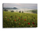 Amapolas toscanas brumosas - Daniel Řeřicha | Cuadro decorativo de Canvas Lab
