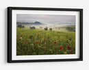 Amapolas toscanas brumosas - Daniel Řeřicha | Cuadro decorativo de Canvas Lab