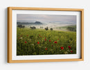 Amapolas toscanas brumosas - Daniel Řeřicha | Cuadro decorativo de Canvas Lab