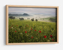 Amapolas toscanas brumosas - Daniel Řeřicha | Cuadro decorativo de Canvas Lab