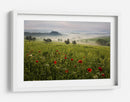 Amapolas toscanas brumosas - Daniel Řeřicha | Cuadro decorativo de Canvas Lab