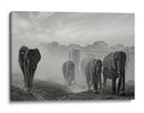 Elefantes en el polvo - Mathilde Guillemot | Cuadro decorativo de Canvas Lab