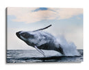 Una ballena jorobada gigante saltando - Alexander Safonov | Cuadro decorativo de Canvas Lab