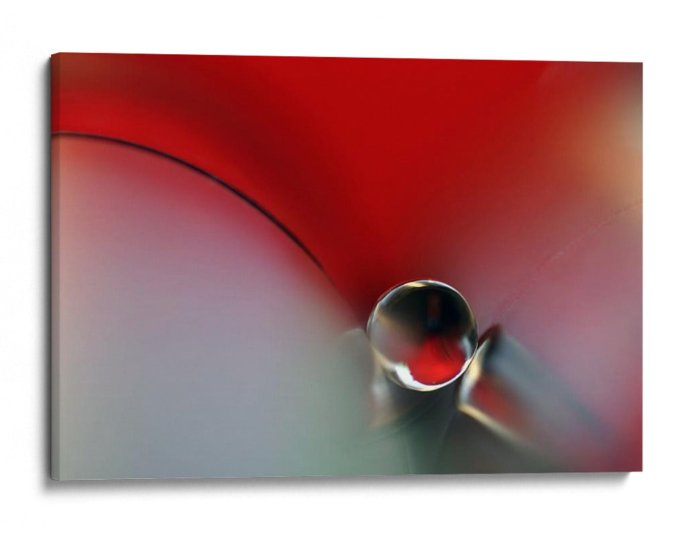 Gota roja vibrante - Heidi Westum | Cuadro decorativo de Canvas Lab