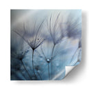 Gotas frías de rocío de diente de león - Mathieu Irthum | Cuadro decorativo de Canvas Lab