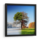 Árbol de las cuatro estaciones - Adam Brzuszek | Cuadro decorativo de Canvas Lab