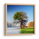 Árbol de las cuatro estaciones - Adam Brzuszek | Cuadro decorativo de Canvas Lab