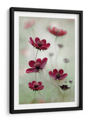 El vaivén del cosmos - Mandy Disher | Cuadro decorativo de Canvas Lab