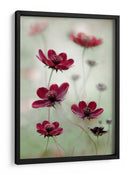 El vaivén del cosmos - Mandy Disher | Cuadro decorativo de Canvas Lab