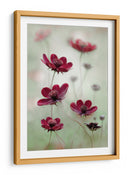 El vaivén del cosmos - Mandy Disher | Cuadro decorativo de Canvas Lab