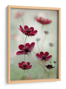 El vaivén del cosmos - Mandy Disher | Cuadro decorativo de Canvas Lab