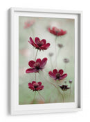 El vaivén del cosmos - Mandy Disher | Cuadro decorativo de Canvas Lab