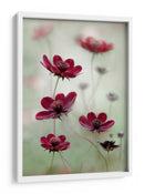 El vaivén del cosmos - Mandy Disher | Cuadro decorativo de Canvas Lab